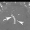 Figure 19c.