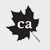 Canadian Accountant logo