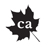 Canadaian Accountant logo