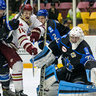 Vees Take Fred Page Cup in Game 7 Overtime Thriller