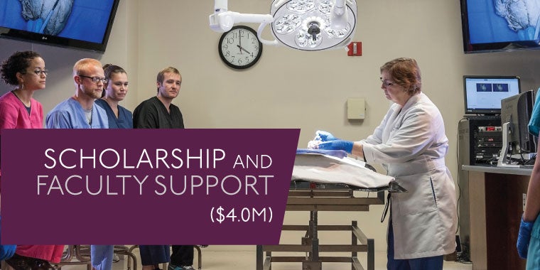 SCHOLARSHIP AND FACULTY SUPPORT