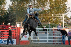 Bull Riding