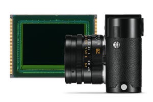 M-D Sensor