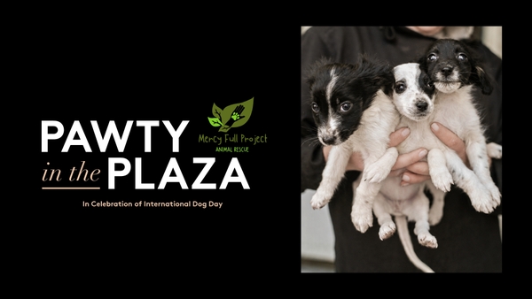 Pawty in the Plaza
