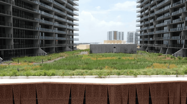 Video: Neighborhood Update