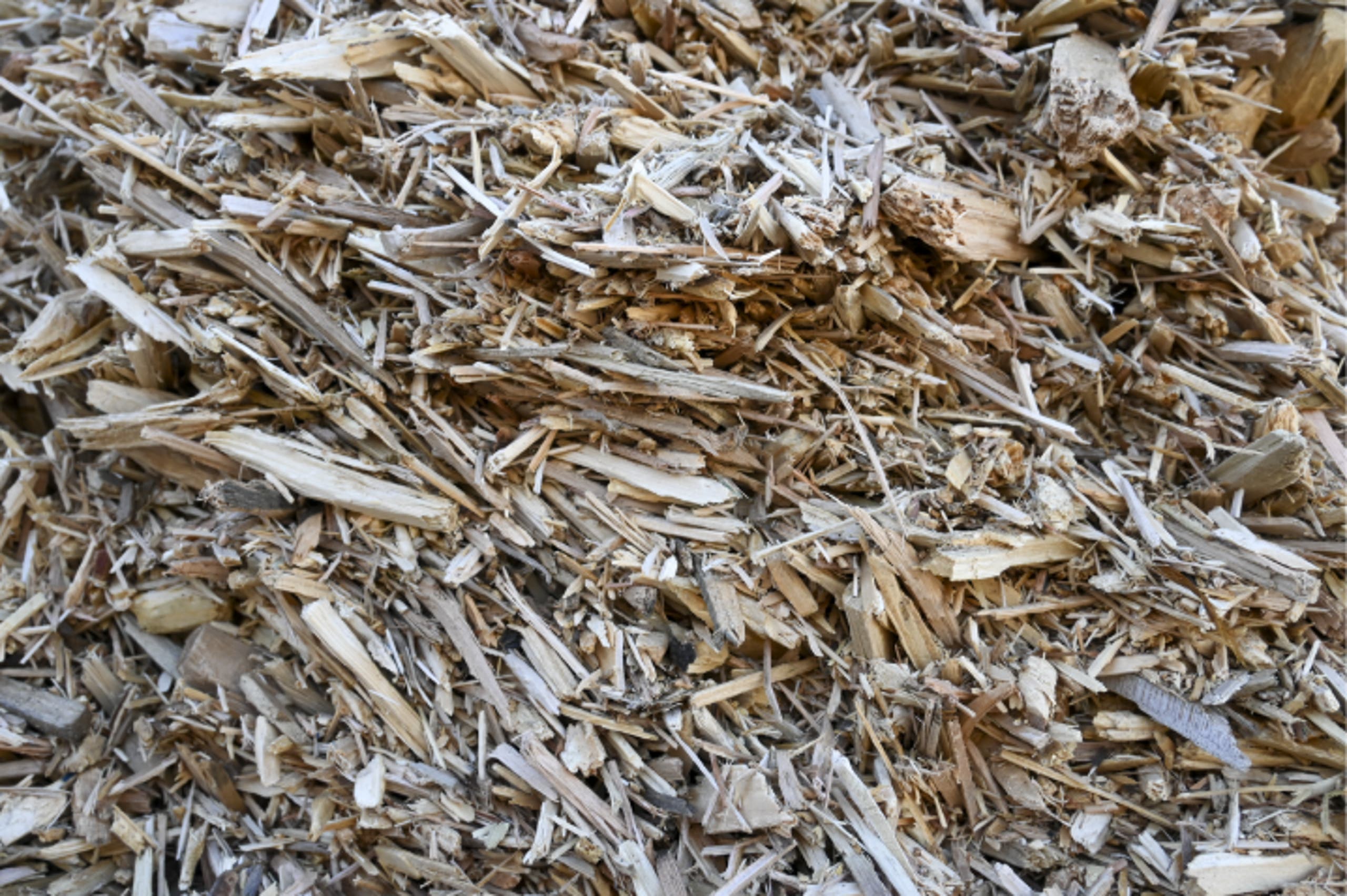 Close-up of light-colored, freshly ground recycled pallet wood chips before dye is applied