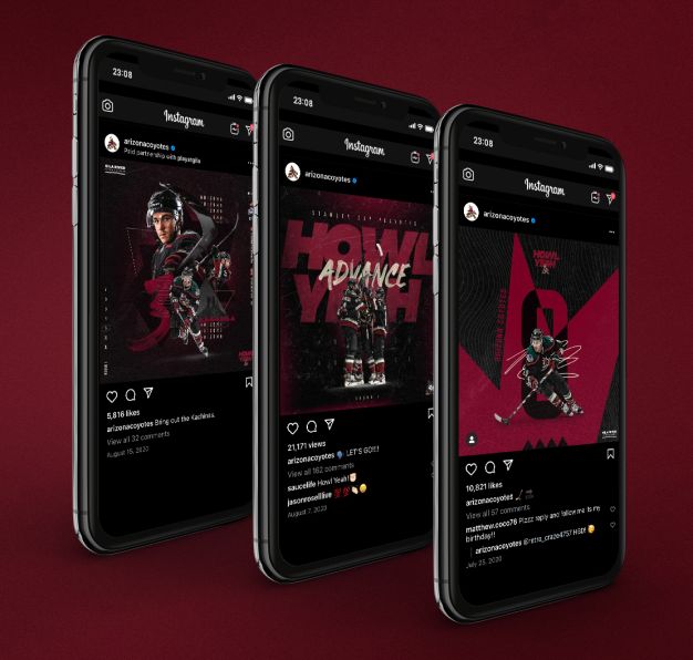 AZCoyotes_CaseStudy_3a