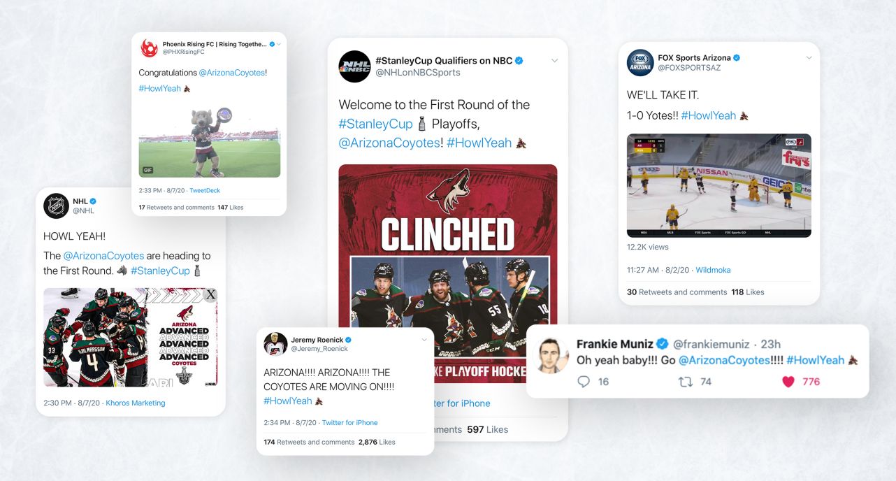 AZCoyotes_CaseStudy_4