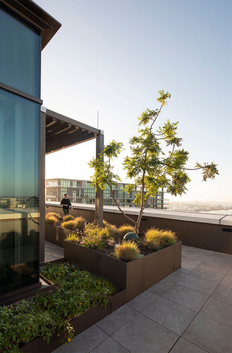 corner of a rooftop patio and plants