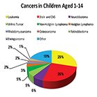 Comprehensive care for the child or adolescent diagnosed with a childhood malignancy requiring palliative radiation therapy