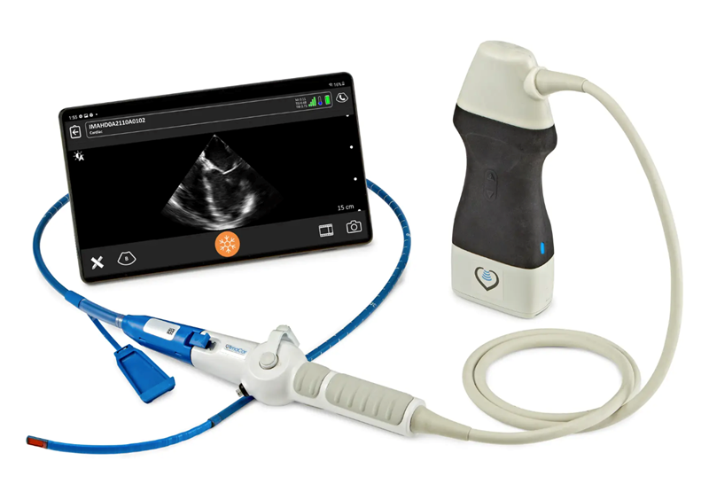 Transesophageal Echocardiography (TEE)