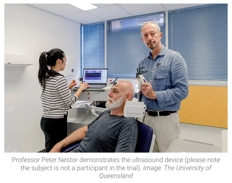 Professor Pankaj Sah - UQ Researchers