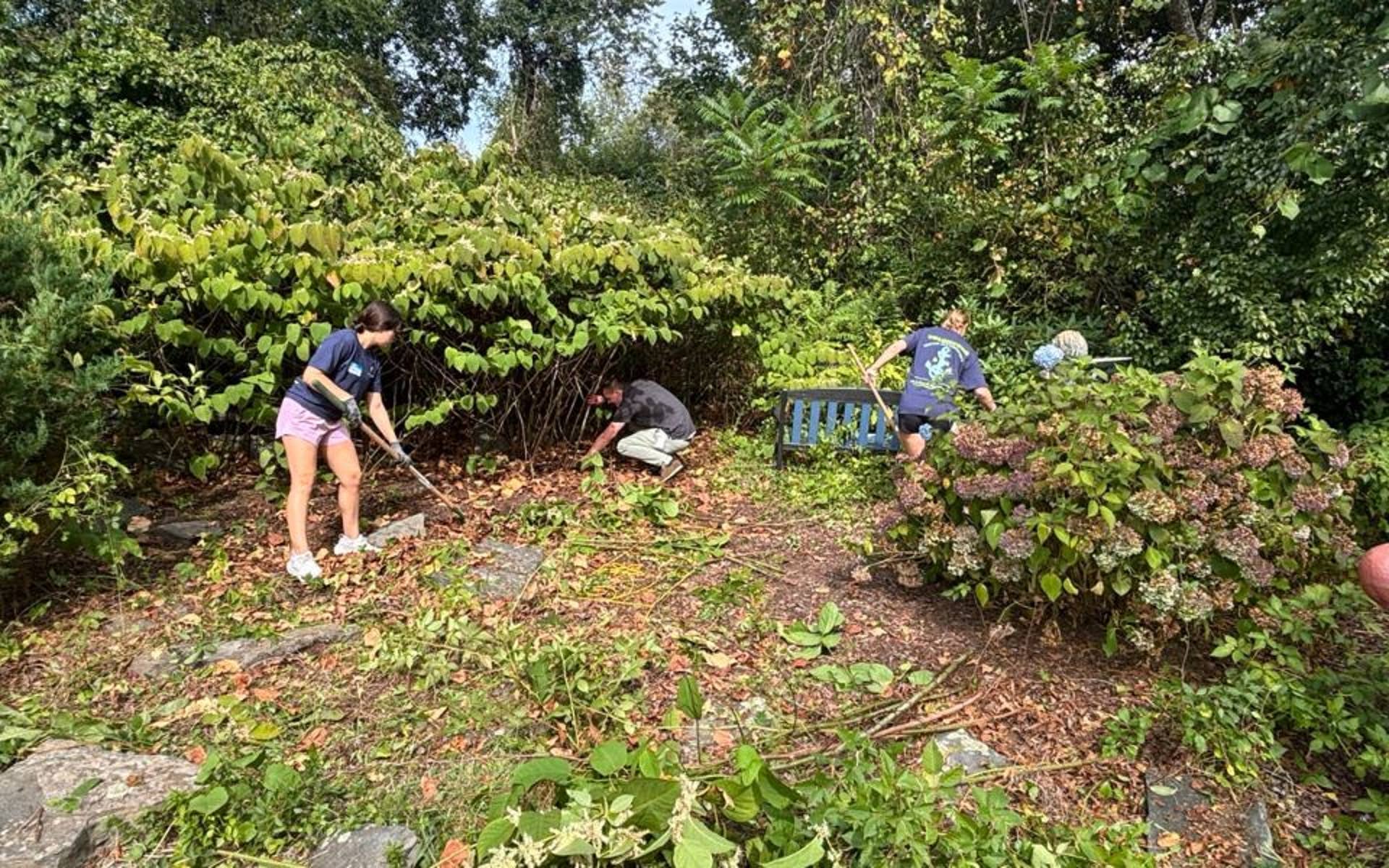 Students Cleaning up New England Campus