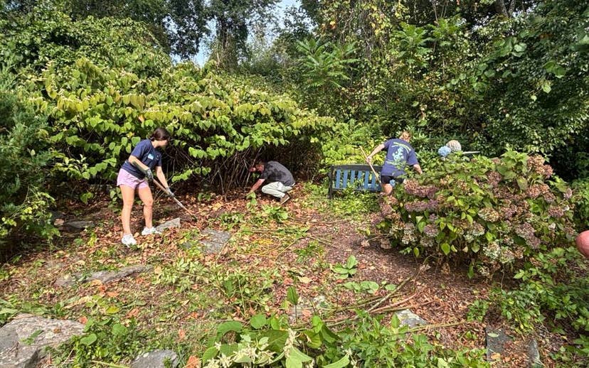 Students Cleaning up New England Campus