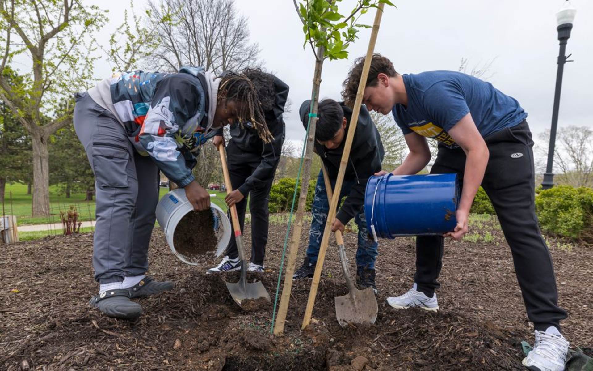 4 young boys planting a tree with shovels and buckets of dirt