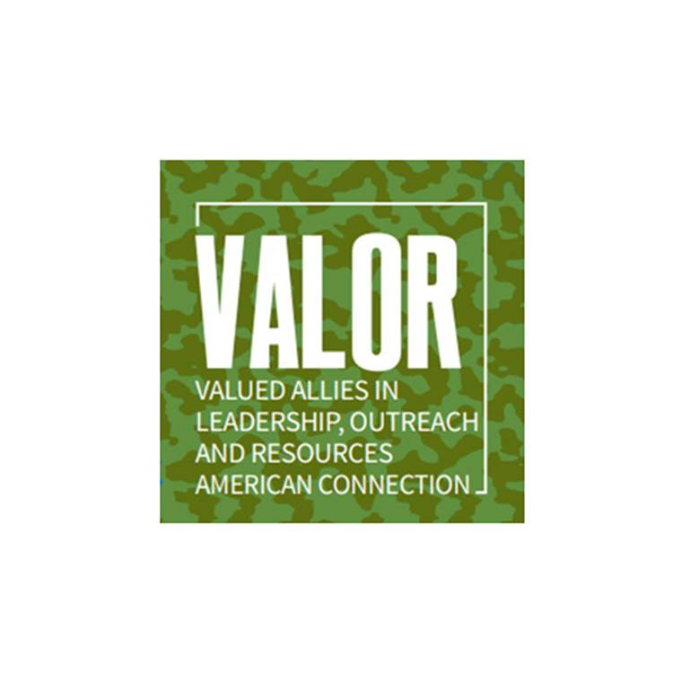 VALOR logo