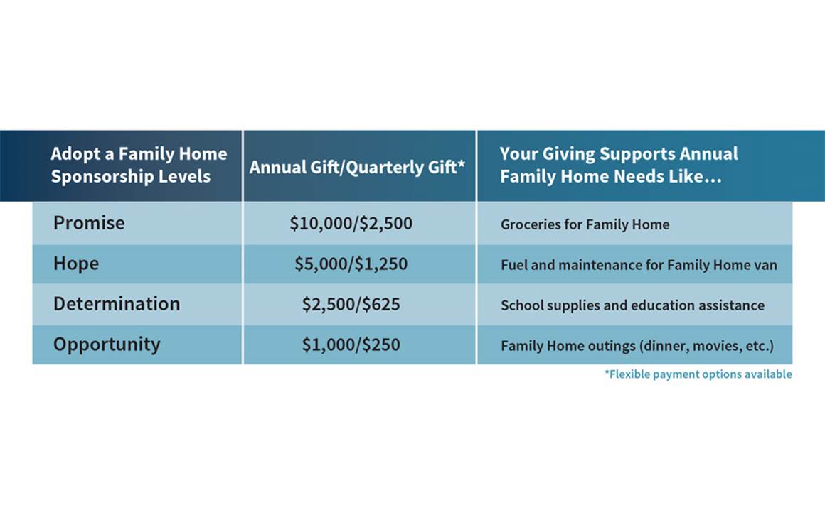 Donation Levels Chart