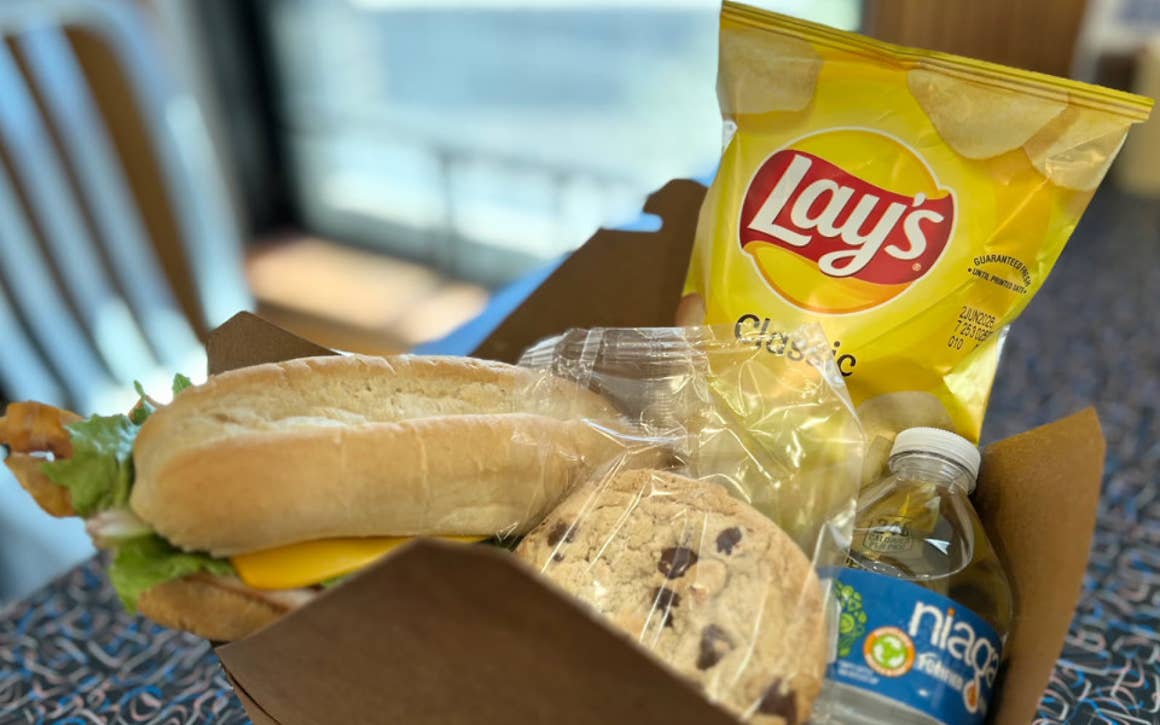 Cold Lunch with a sandwich and chips
