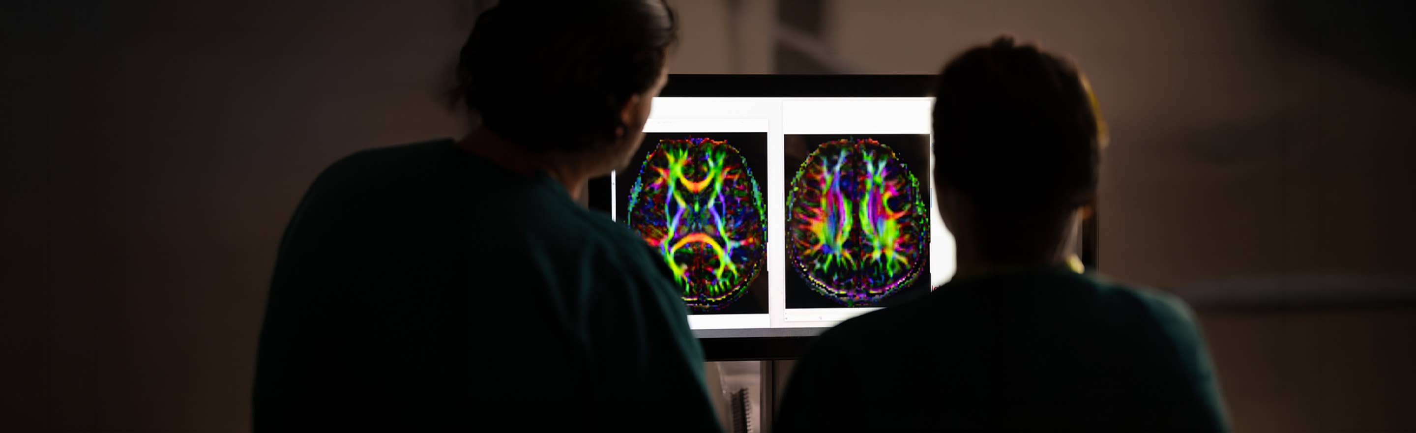 neurology image on a screen