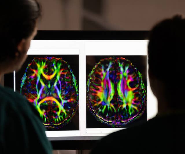 Researchers evaluating data
