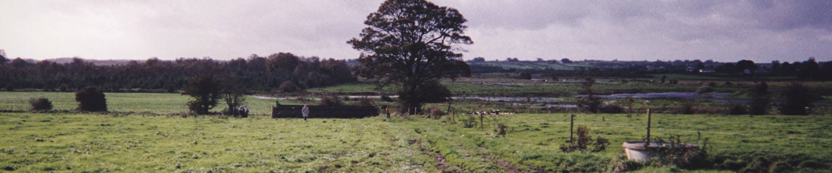 Irish countryside