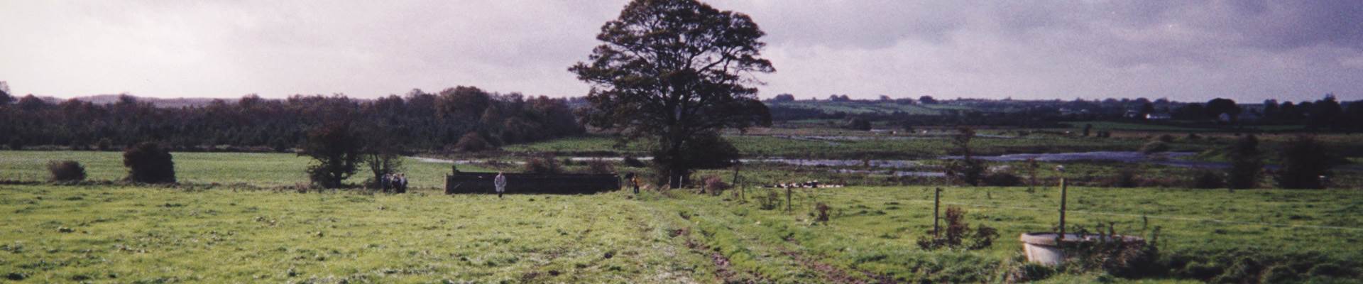 Irish countryside