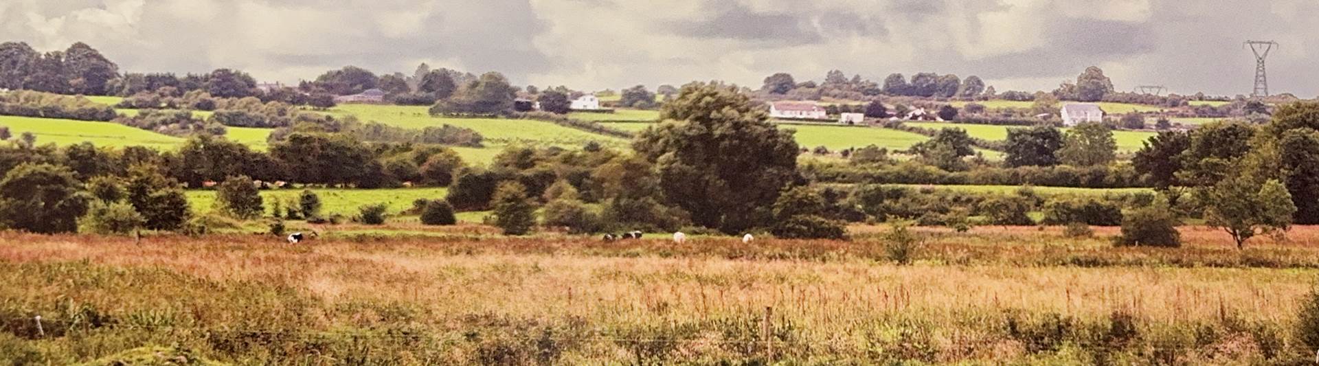 Sprawling Irish Countryside