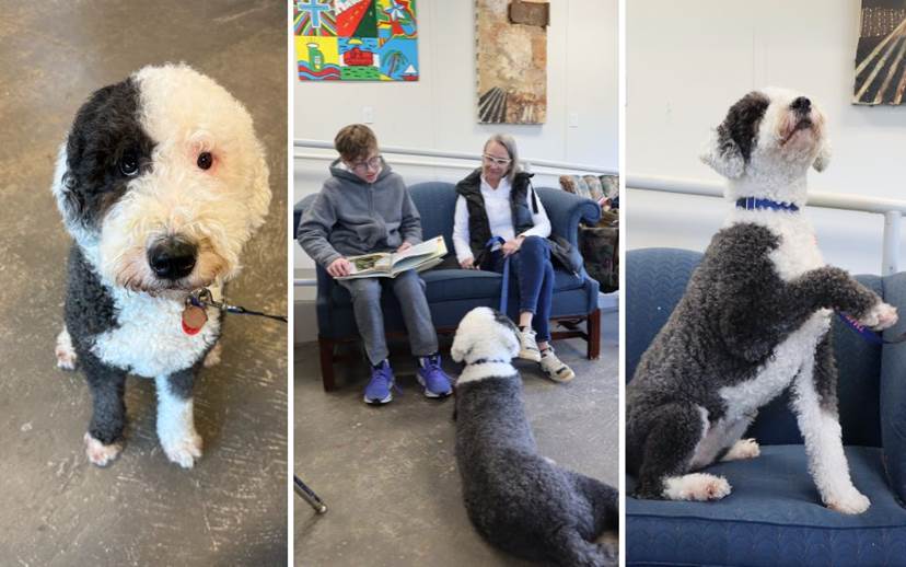 ART Town Therapy dog Birdie and Boys Town Youth