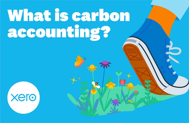 trace carbon accounting