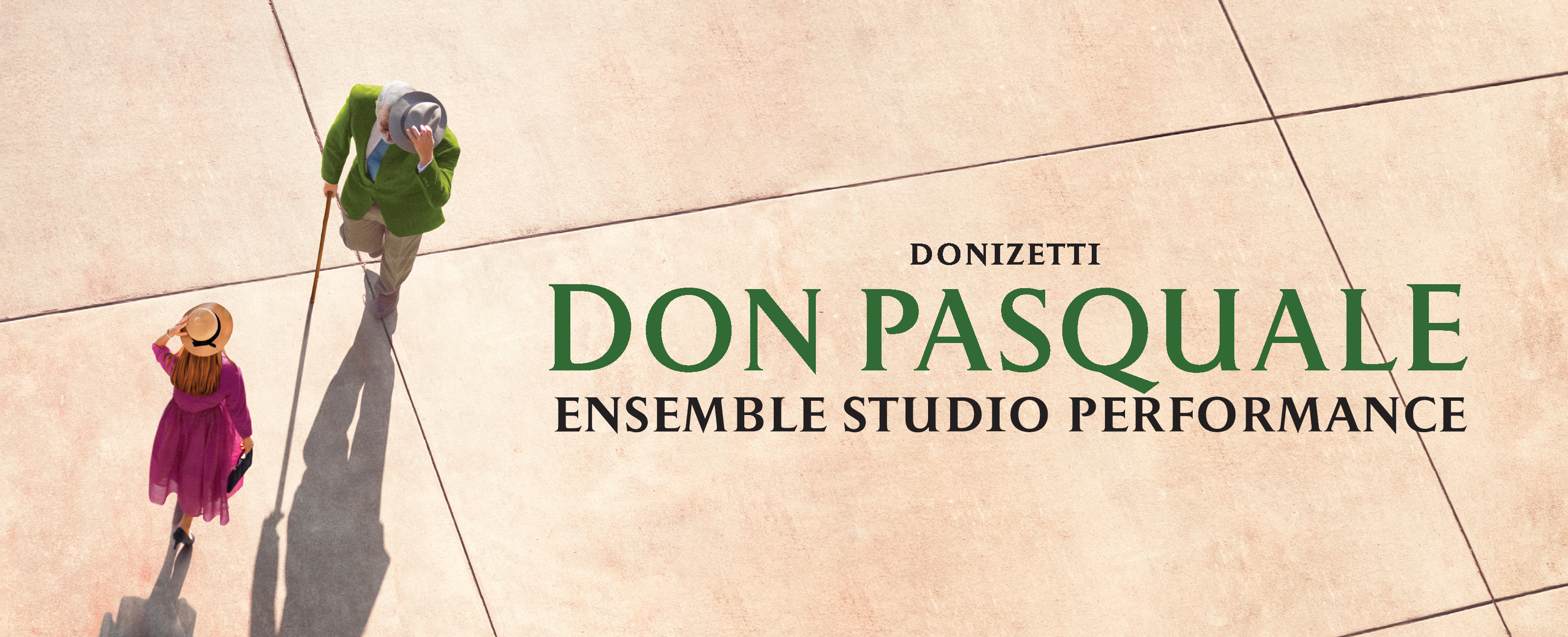 Don Pasquale banner 