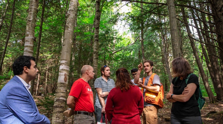 Group of people standing in the forest 