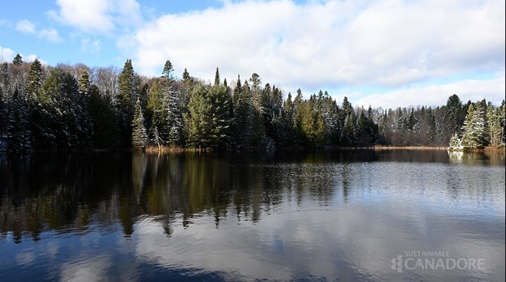 Campus Pond 