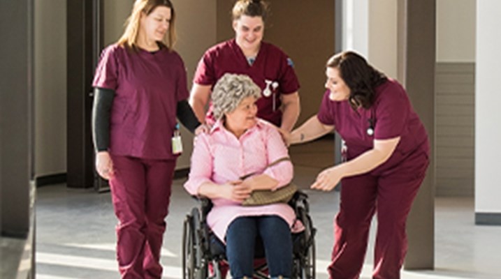 Group of psws with a woman in a wheelchair