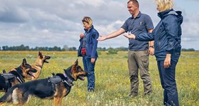 Police working with police dogs