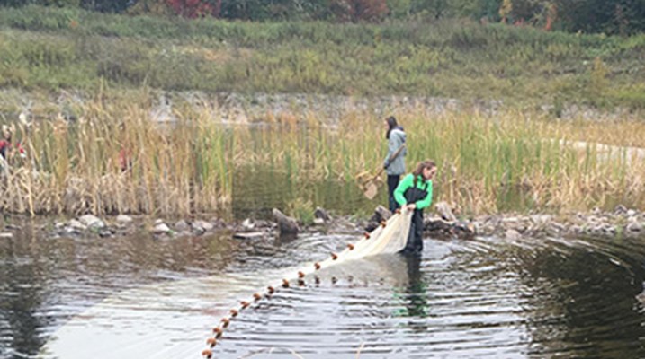 Students setting up nets