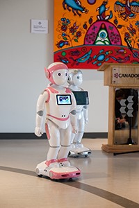 Social Robot