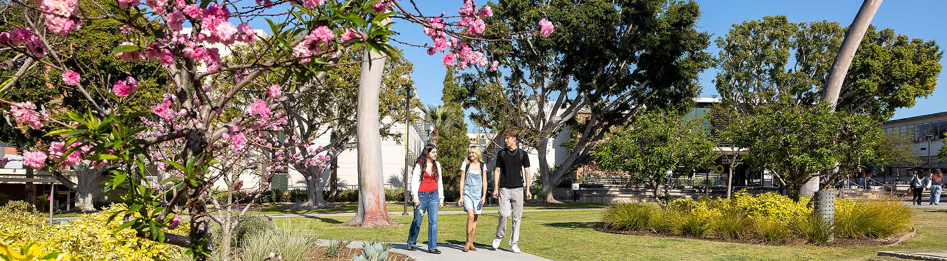 CSULB Open University