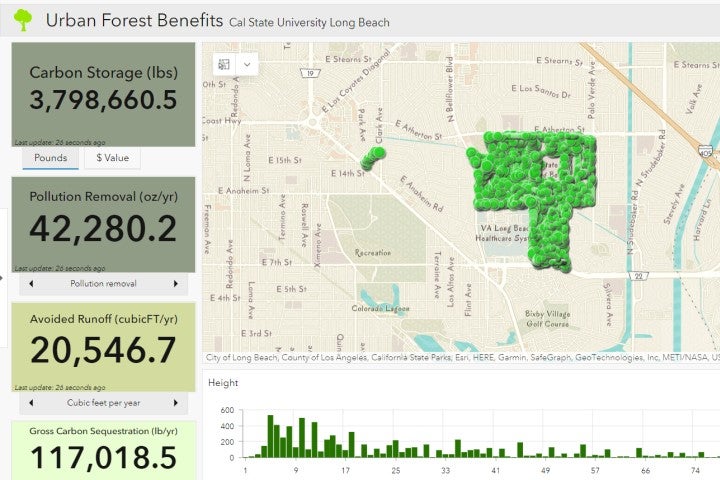 CSULB Tree Benefits