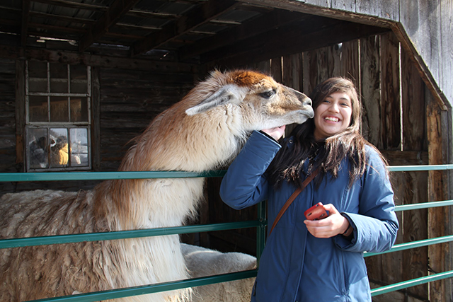 students at the filed trip