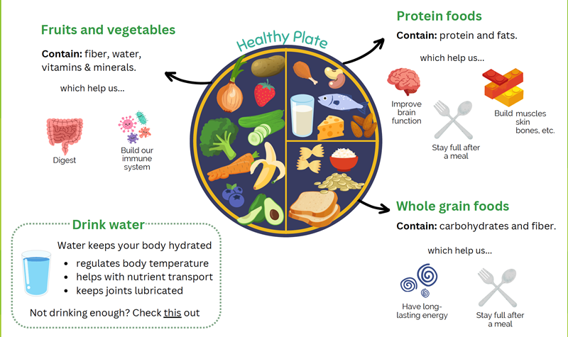 nutritious food guide