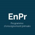 Programme d'enseignement primaire icône