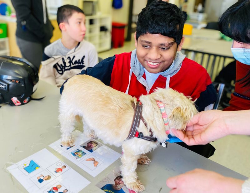 Zackary Pratt-Mac Nicol, left, and Mithusan Sivalingam discovering zootherapy with Lili the dog in January. 