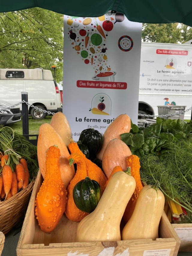 Après un début de journée sous la brume, le ciel s’éclaircit pour faire place à une superbe matinée au Marché public de Pointe-aux-Trembles, le 14 septembre.  