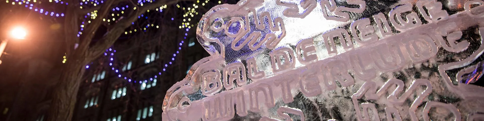 https://ottawatourism.ca/en/see-and-do/winterlude