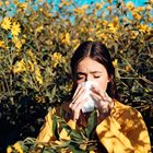 Understanding Fall Allergies 