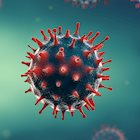 What you need to know about coronavirus disease 2019 (COVID-19)