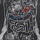 Keeping Your Gut in Check—The difference between a healthy and unhealthy gut…and how to address issues.