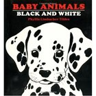 Baby Animals Black & White by Phyllis Limbacher Tildes