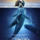 BIG MIRACLE