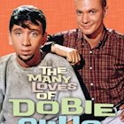 THE MANY LOVES OF DOBIE GILLIS: THE COMPLETE SERIES
